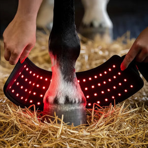 EquiThera K1 Boots - Rödljusterapi