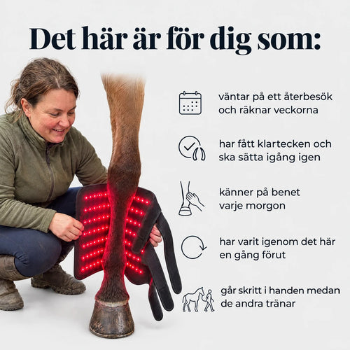 EquiThera K2 — Så senan får rätt stöd att läka på djupet