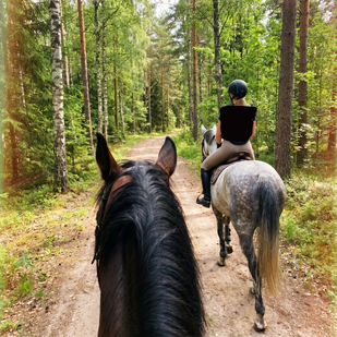 Månad 6+ — Tillbaka på banan