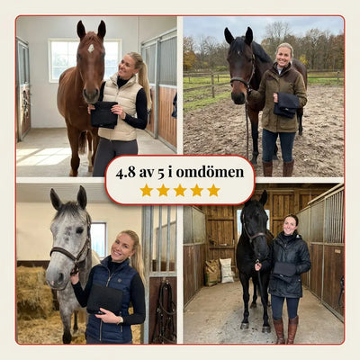 EquiThera K2 — Rödljusdamask För Läkning På Djupet