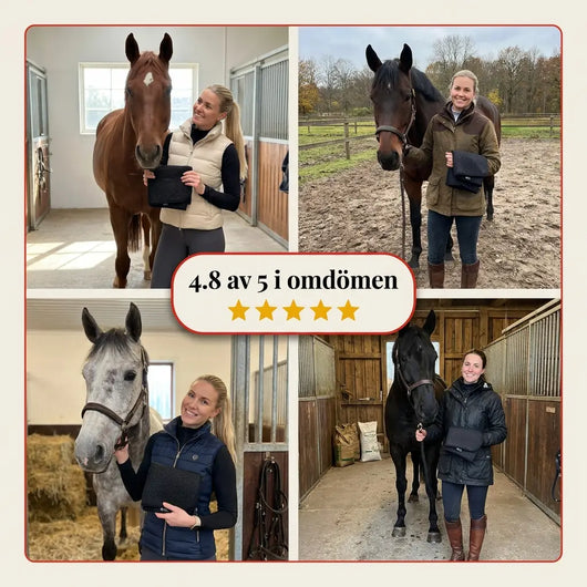 EquiThera K2 — Rödljusdamask För Läkning På Djupet