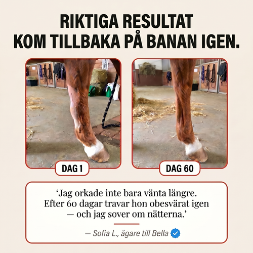 EquiThera K2 — Rödljusdamask För Djup Läkning