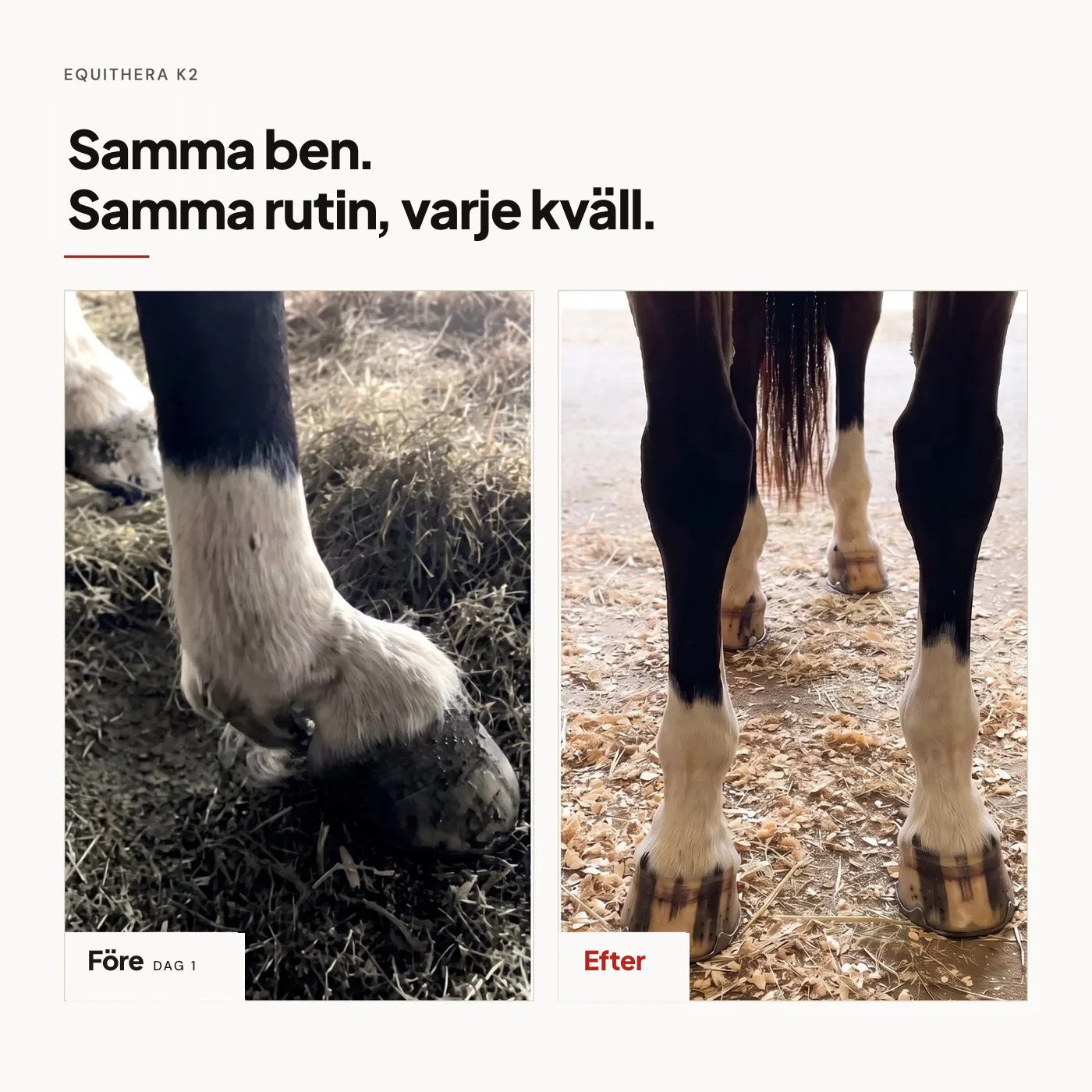 Samma ben, samma rutin varje kväll: före dag 1 och efter