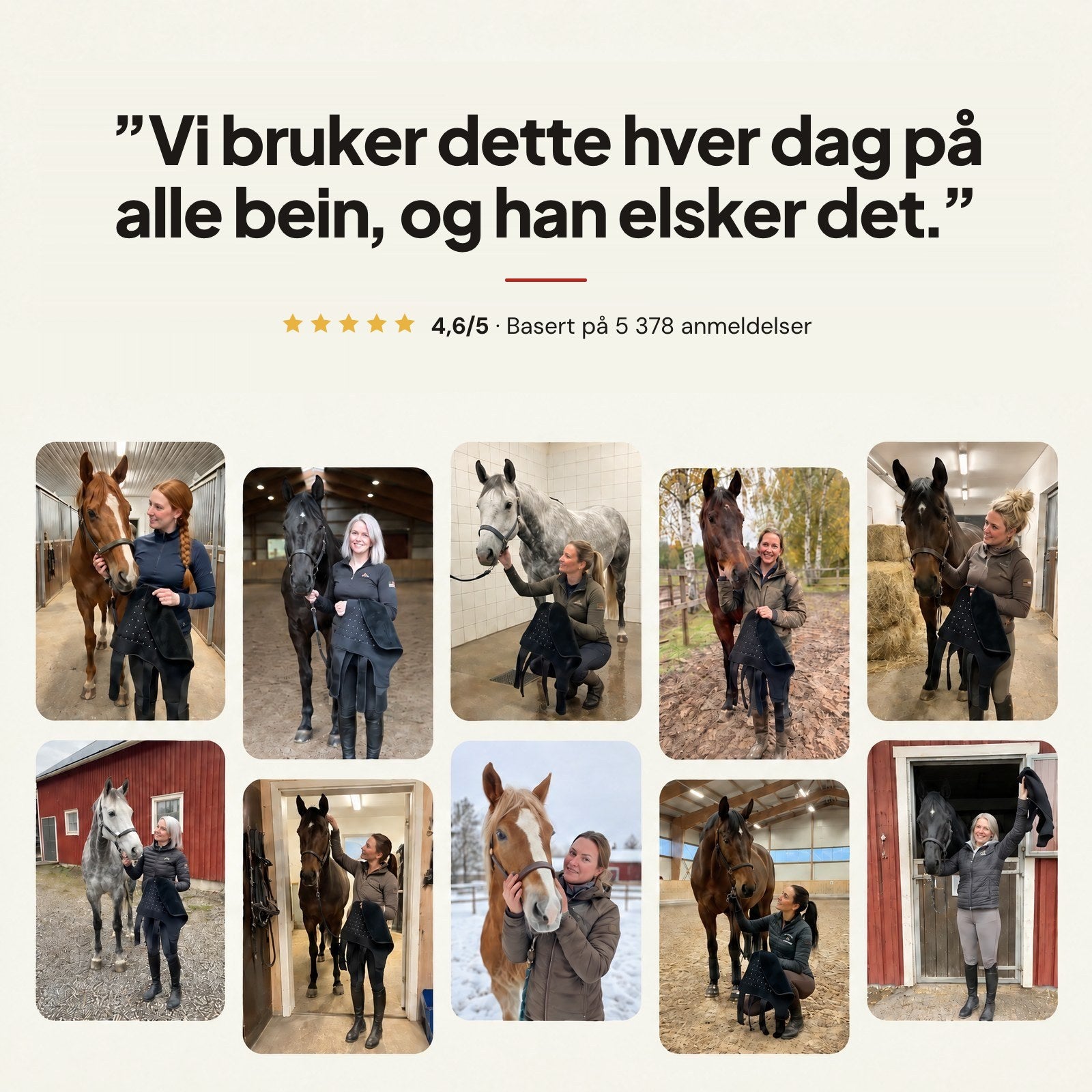 Vi bruker dette hver dag på alle bein, og han elsker det: 4,6 av 5 basert på 5 378 anmeldelser