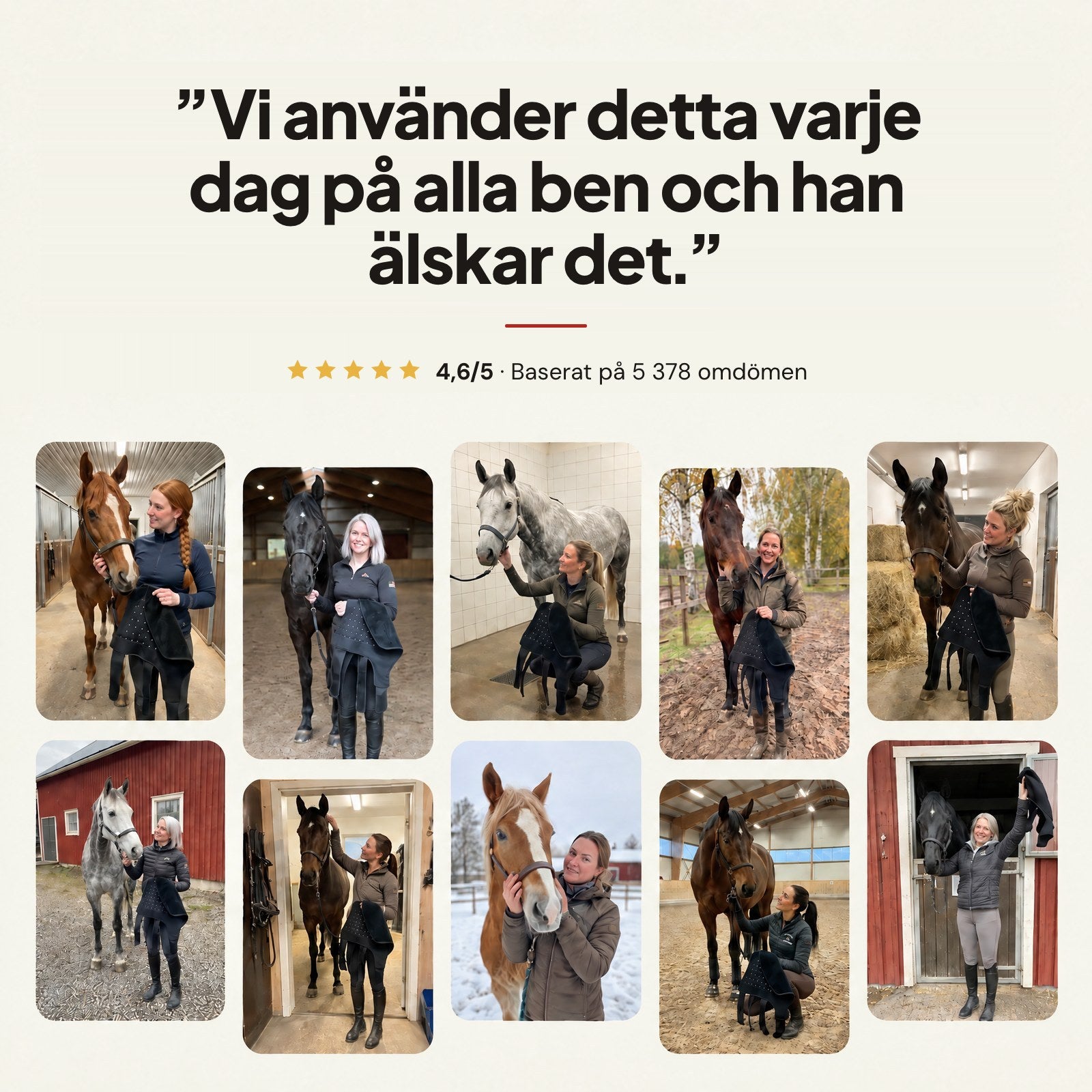 Vi använder detta varje dag på alla ben och han älskar det: 4,6 av 5 baserat på 5 378 omdömen