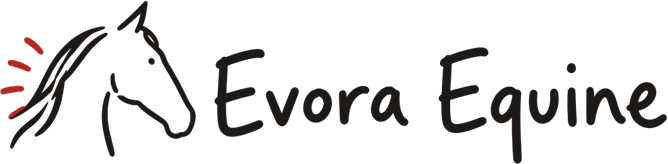 Evora-Stockholm